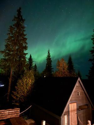 Fjällstuga - Bild 7