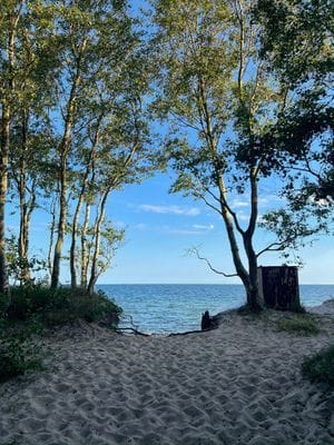 Stor lägenhet med radhuskänsla på Österlen! - Bild 14
