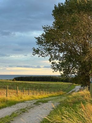 Stor lägenhet med radhuskänsla på Österlen! - Bild 13