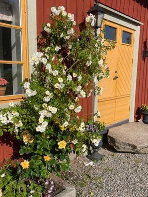 Charmigt nyrenoverat brygghus! - Bild 5