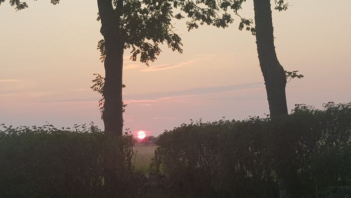 Stuga i stilla miljö på sekelskiftesgård - Bild 26