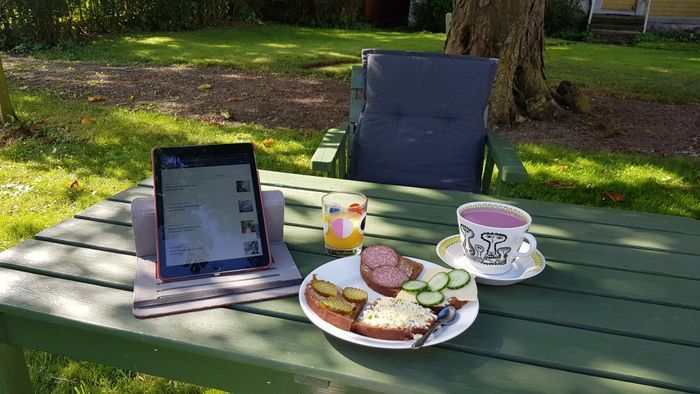 Stuga i stilla miljö på sekelskiftesgård - Bild 17