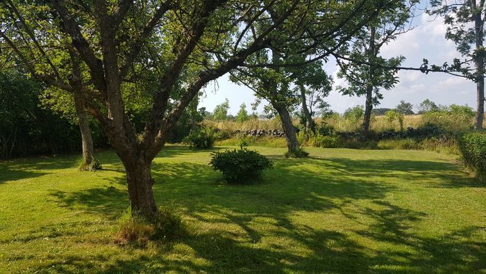 Stuga i stilla miljö på sekelskiftesgård - Bild 18