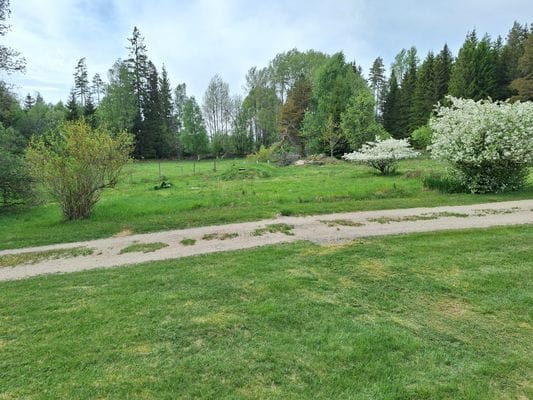 Bolyckan; småländsk avskildhet när den är som bäst - Bild 34