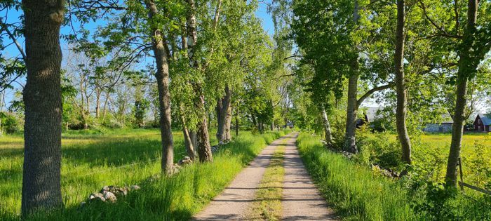 Stuga i stilla miljö på sekelskiftesgård - Bild 20