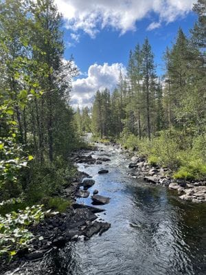 Fritidshus med närheten till fjällvärden och fiske - Bild 5