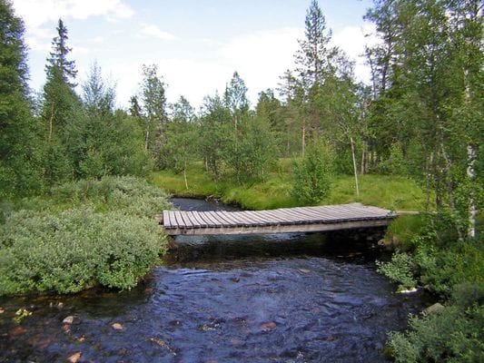 Hundfjället - 2 lgh, bastu, ö spis, Wifi, sommar - Bild 16