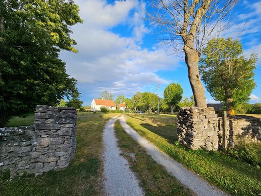 Charmigt Gotlandshus i vacker miljö - Bild 22