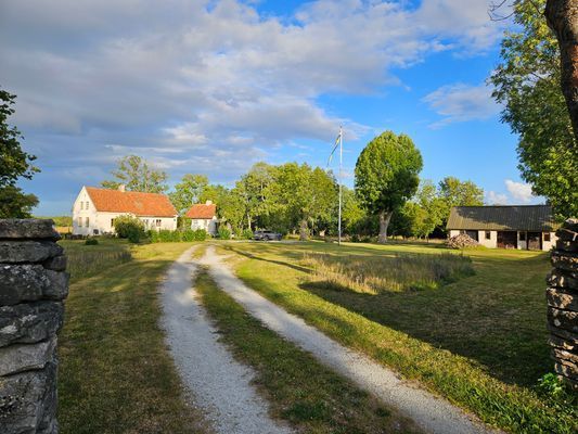 Charmigt Gotlandshus i vacker miljö - Bild 24