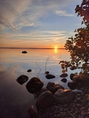 Hus i skogsglänta i Tiveden - Bild 4