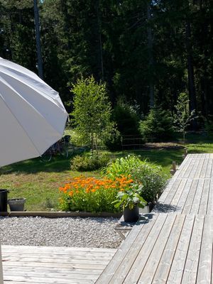 Åminne strand - Bild 14