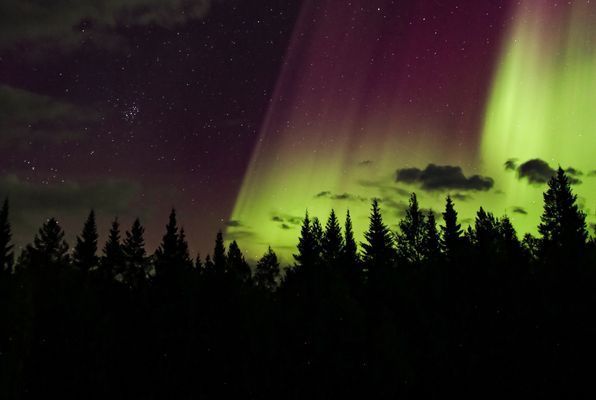 Cabin i Rentjärn - Bild 22