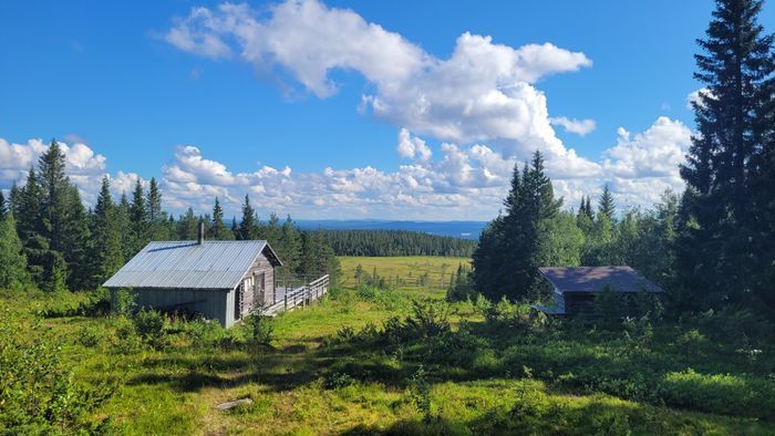 Cabin i Rentjärn - Bild 17
