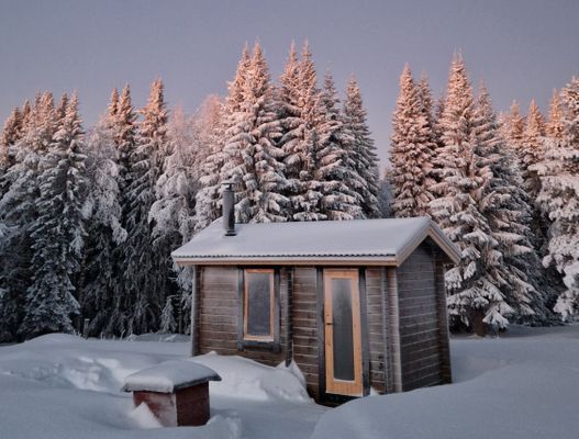 Cabin i Rentjärn - Bild 23