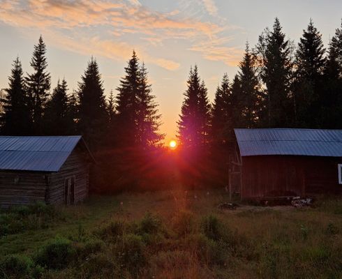 Cabin i Rentjärn - Bild 11