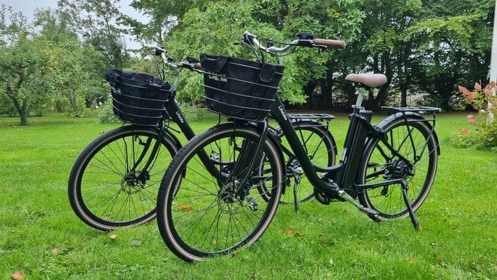 Sekvoja Guesthouse Lantligt läge nära Malmö city - Bild 39