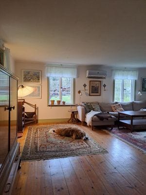 Hus i skogsglänta i Tiveden - Bild 11