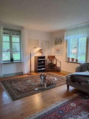 Hus i skogsglänta i Tiveden - Bild 13
