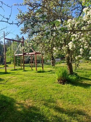 Hus i skogsglänta i Tiveden - Bild 25
