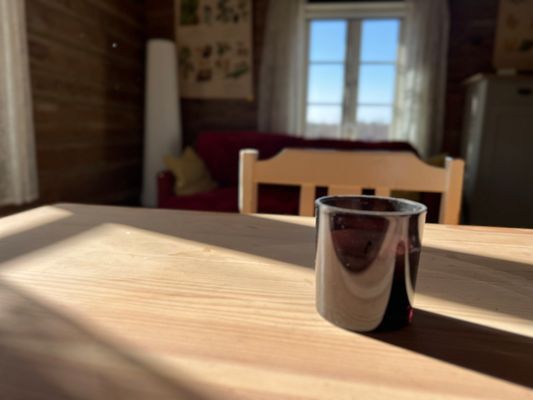 Mysig timmerstuga med kamin i södra Värmland - Bild 17