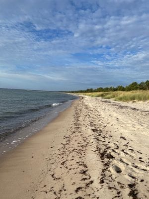 Stuga med uppvärmd pool och gångavstånd till havet - Bild 24