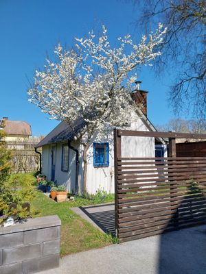 VISBY C Östercentrum