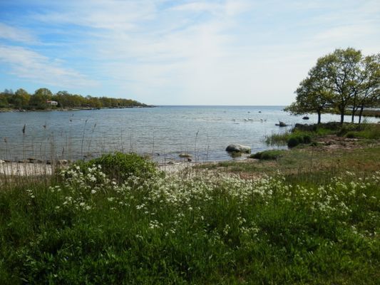 Se havet från alla rummen! - Bild 21