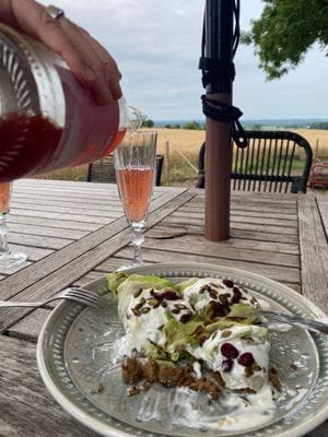 Lodge | Spa | Hundvänligt på Österlen - Bild 11