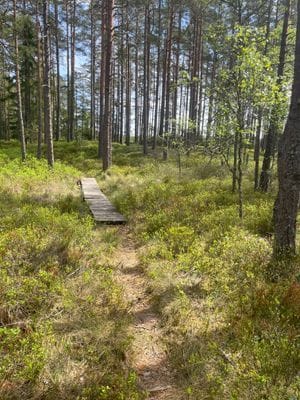 Nyrenoverad stuga vid lugna granarpssjön 55kvm - Bild 15