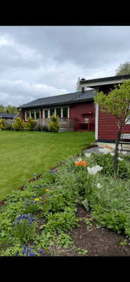 Mysig stuga nära sjö och natur - Bild 13