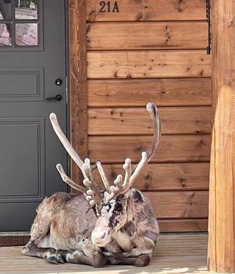 Varglyan, Idre | SE19021 - Bild 22