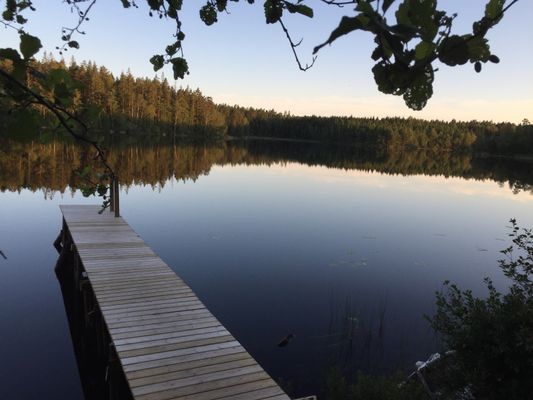 Skogsgård - Bild 25