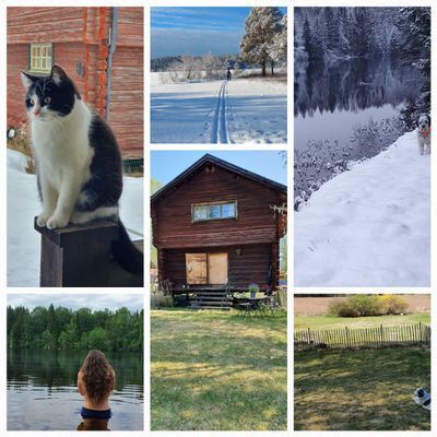 Charmigt härbre i en Dalaby. Även på vintern. - Bild 11