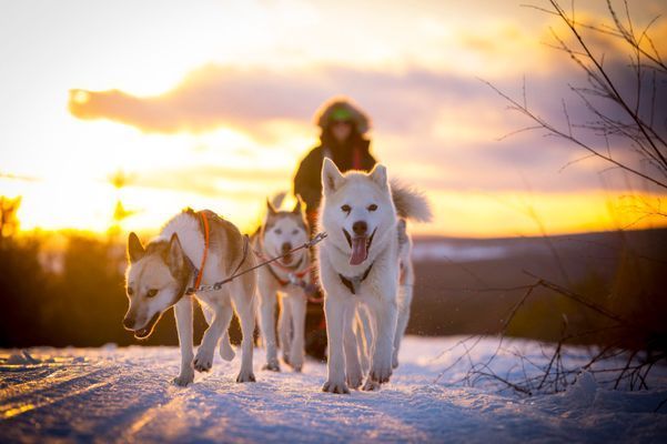 Varglyan, Idre | SE19021 - Bild 36