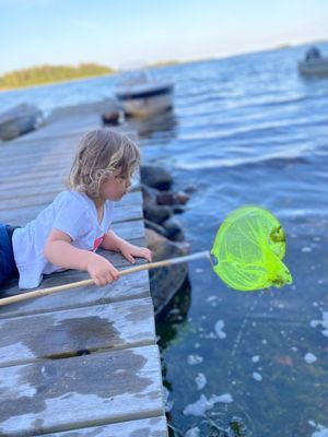 Äspholmen, strandnära skärgårdshus. - Bild 5