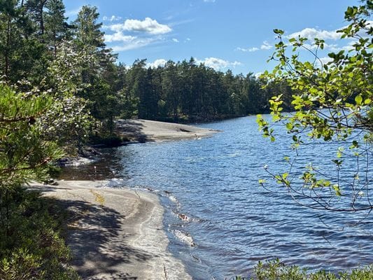 Fritidshus nära badsjö och natur - Bild 16