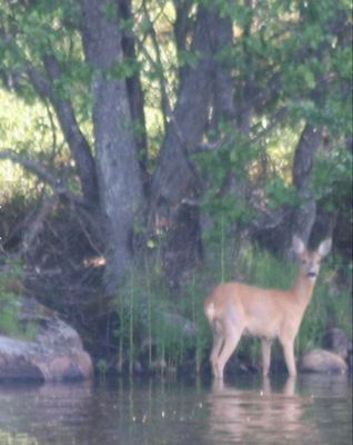 Hus för sommar- och vinterboende med nära sjöläge - Bild 33
