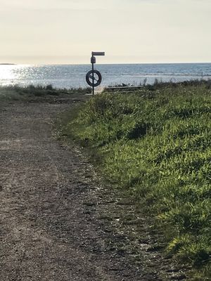 Havsnära sommaridyll i Kärradal - 100m till bad - Bild 20