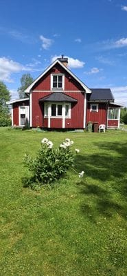 Hos grannarna - Bild 5