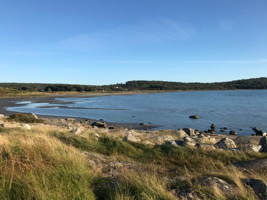 Havsnära sommaridyll i Kärradal - 100m till bad - Bild 22