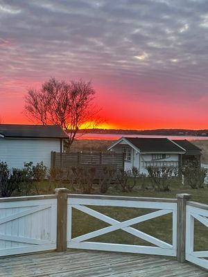 Havsnära sommaridyll i Kärradal - 100m till bad - Bild 3
