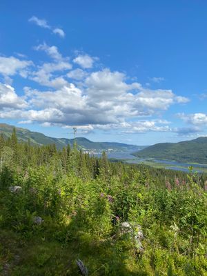 Utsikt från vandringsled i skidbacken i Tegefjäll