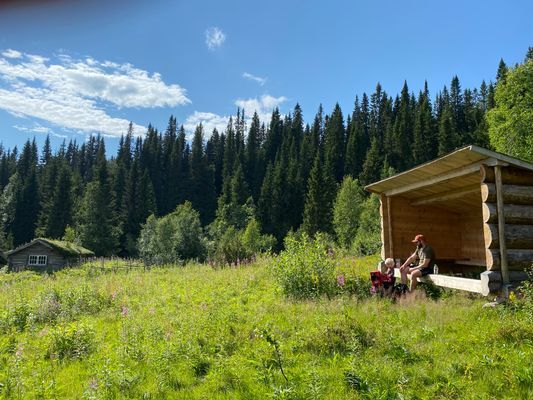Vindskydd längs vandringsled i Tegefjäll