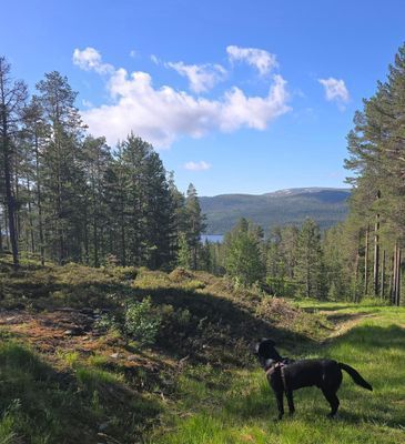 Mysig 8-bädds timmerstuga i Lofsdalen - Bild 17