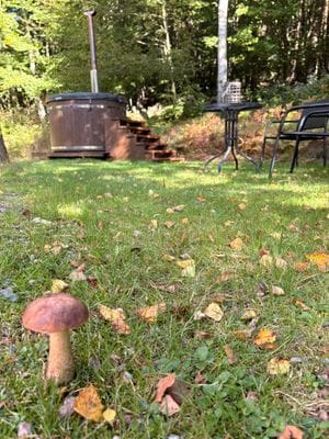 Stuga "Vena Berg" - Bild 64