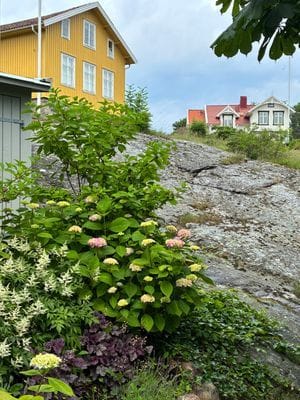 Mysig Skärgårdsstuga på ön Björkö nära Göteborg - Bild 50