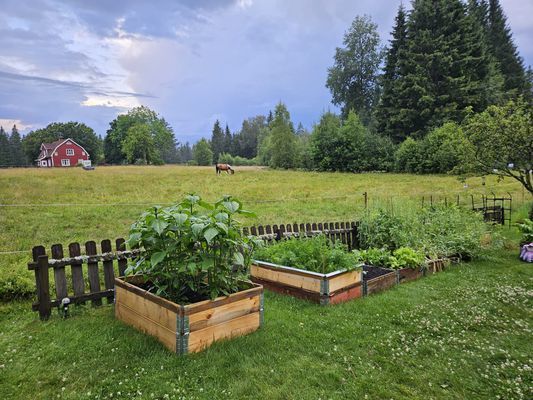 Trädgården med utsikt mot ängen och huset där vi bor.