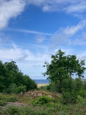 Mysig semesterstuga i Åskloster, Varberg - Bild 16