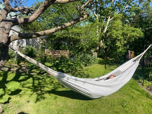 Sydvästra Öland - Bild 11