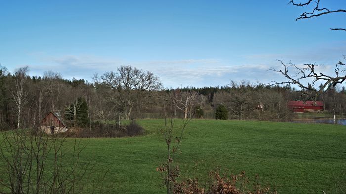 Stuga vid sjö i skogsmiljö – Drängstugan - Bild 14